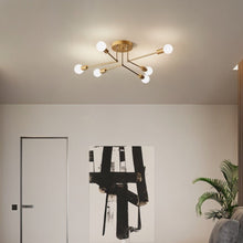 Carregar imagem no visualizador da galeria, Corazon Ceiling Light
