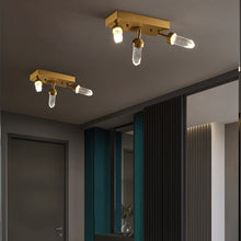 Carregar imagem no visualizador da galeria, Cordelia Ceiling Light
