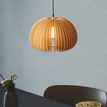 Cargar imagen en el visor de la galería, Cucurbita Pendant Light
