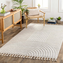 Load image into Gallery viewer, Dauin 3D Rainbow Area Rug with Tassels
