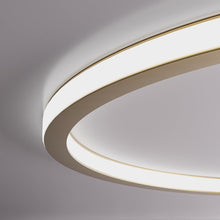 Carregar imagem no visualizador da galeria, Dayira Ceiling Light
