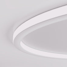 Carregar imagem no visualizador da galeria, Dayira Ceiling Light
