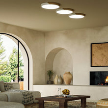 Load image into Gallery viewer, Delphi Ceiling Light
