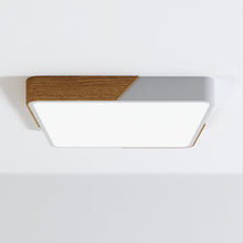 Carregar imagem no visualizador da galeria, Delphi Ceiling Light
