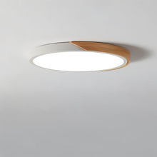 Carregar imagem no visualizador da galeria, Delphi Ceiling Light
