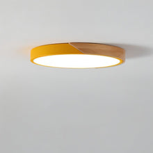 Carregar imagem no visualizador da galeria, Delphi Ceiling Light
