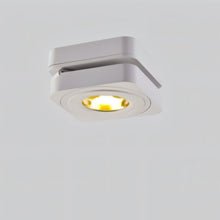 Load image into Gallery viewer, Deltha Downlight
