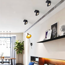 Load image into Gallery viewer, Deltha Downlight
