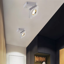 Load image into Gallery viewer, Deltha Downlight

