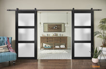 Load image into Gallery viewer, Lucia 2552 Matte Black Double Barn Door with Frosted Glass | Black Rail
