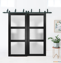 Load image into Gallery viewer, Lucia 2552 Matte Black Double Barn Door with Frosted Glass | Black Bypass Rails
