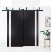 Cargar imagen en el visor de la galería, Planum 0040 Matte Black Double Barn Door with White Glass and Black Bypass Rail
