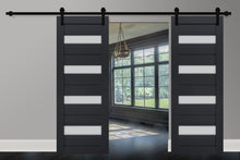 Cargar imagen en el visor de la galería, Veregio 7455 Antracite Double Barn Door with Frosted Glass and Black Rail
