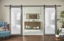 Load image into Gallery viewer, Planum 2102 Ginger Ash Double Barn Door with Frosted Glass | Black Rail
