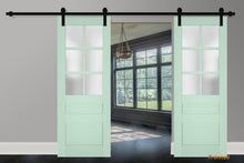 Carregar imagem no visualizador da galeria, Veregio 7339 Oliva Double Barn Door with Frosted Glass and Black Rail
