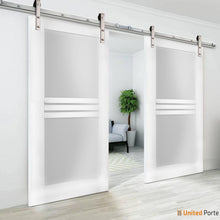 Load image into Gallery viewer, Mela 7222 White Silk Double Barn Door with 4 Lites Frosted Glass | Silver Finish Rail
