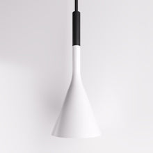 Load image into Gallery viewer, Divino Pendant Light
