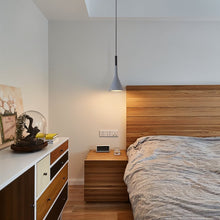 Load image into Gallery viewer, Divino Pendant Light
