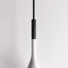Load image into Gallery viewer, Divino Pendant Light
