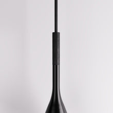 Load image into Gallery viewer, Divino Pendant Light
