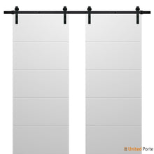 Carregar imagem no visualizador da galeria, Planum 0770 Painted White Matte Double Barn Door and Black Rail
