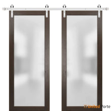 Load image into Gallery viewer, Planum 2102 Chocolate Ash Double Barn Door with Frosted Glass and Silver Rail
