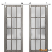 Load image into Gallery viewer, Felicia 3312 Ginger Ash Grey Double Barn Door with 12 Lites Frosted Glass and Silver Rail
