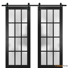 Load image into Gallery viewer, Felicia 3312 Matte Black Double Barn Door with Frosted Glass and Black Rail
