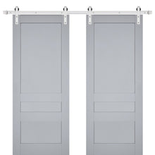Carregar imagem no visualizador da galeria, Veregio 7411 Matte Grey Double Barn Door and Silver Finish Rail
