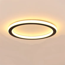 Cargar imagen en el visor de la galería, Doveva Ceiling Light
