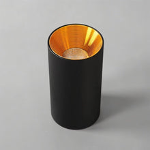 Carregar imagem no visualizador da galeria, Dowan Downlight
