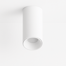 Carregar imagem no visualizador da galeria, Dowan Downlight
