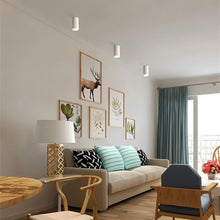 Carregar imagem no visualizador da galeria, Dowan Downlight
