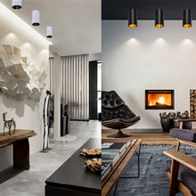 Carregar imagem no visualizador da galeria, Dowan Downlight
