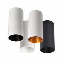 Carregar imagem no visualizador da galeria, Dowan Downlight
