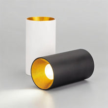 Carregar imagem no visualizador da galeria, Dowan Downlight
