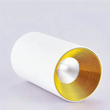 Carregar imagem no visualizador da galeria, Dowan Downlight
