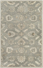Load image into Gallery viewer, Dulles Area Rug
