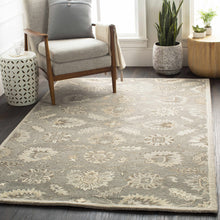 Load image into Gallery viewer, Dulles Area Rug
