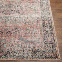 Load image into Gallery viewer, Dunsha Boutique Washable Area Rug - Clearance

