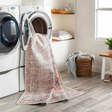 Load image into Gallery viewer, Dunsha Boutique Washable Area Rug - Clearance
