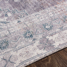Carregar imagem no visualizador da galeria, Baltinglass Gray Washable Rug - Promo

