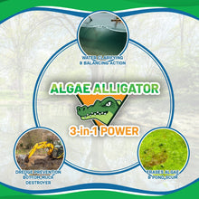 Load image into Gallery viewer, EcoStrong Pond &gt; Algae Algae Alligator

