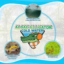 Load image into Gallery viewer, EcoStrong Pond &gt; Algae Cold Water Algae Alligator
