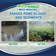 Load image into Gallery viewer, EcoStrong Pond &gt; Muck Muck Miner
