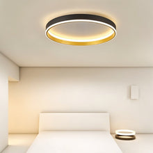 Load image into Gallery viewer, Esperanza Ceiling Light
