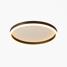 Load image into Gallery viewer, Esperanza Ceiling Light
