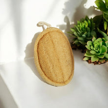 Carregar imagem no visualizador da galeria, Exfoliating Loofah | Oval
