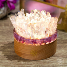 Carregar imagem no visualizador da galeria, Find My Peace - Quartz &amp; Tourmaline Lamp of Blooming Tranquility
