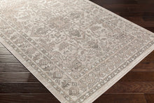 Load image into Gallery viewer, Frenchburg Area Rug - Promo
